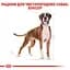 Сухий корм для дорослих собак породи Боксер Royal Canin Boxer Adult, 12 кг (2588120) - мініатюра 3