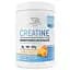 Креатин Bodyperson Labs Creatine Monohydrate Апельсин 500 г (1086-2022-10-2820) - мініатюра 1