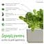 Змінний картридж Click & Grow Smart Garden Салат Ромен, 3 капсули (8820) - мініатюра 4