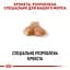 Сухий корм для дорослих собак породи Мопс Royal Canin Pug Adult, 3 кг (3985030) - мініатюра 4