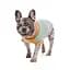 В'язаний светр Pet Fashion Rich для собак породи коргі, розмір XL - мініатюра 7