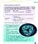 Grammar Goals. Level 6. Pupil's Book Pack - миниатюра 3