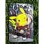 Чехол-книжка BeCover Smart Case для Samsung Galaxy Tab A9 SM-X115 8.7" Pikachu (711272) - миниатюра 4