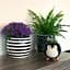 Ваза-кашпо МВМ My Home, 14,5 см, черная с белым (DH-FLOWERS-27 WHITE/BLACK) - миниатюра 5