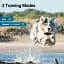 Нашийник Wellturnpet B800/B801 - мініатюра 6