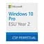 Операційна система Microsoft Windows 10 ESU Year 2 (2026 - 2027) Extended Security Updates (ESU) (DG7GMGF0SSGZ_0001) - мініатюра 1