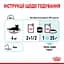 Вологий корм для дорослих котів Royal Canin Sensory Feel Gravy, шматочки в соусі, 85 г - мініатюра 8