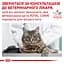 Сухий корм для котів Royal Canin Calm 2 кг (395502091) - мініатюра 7
