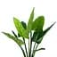 Штучна рослина Engard Philodendron 90 cм (TW-38) - мініатюра 3