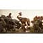 Ключ активации Microsoft Warhammer Age of Sigmar: Realms of Ruin Ultimate Edition для Xbox Series S/X - миниатюра 9