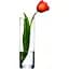 Ваза Pasabahce Botanica циліндр 26 см (43767) - мініатюра 3