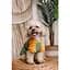Футболка Pet Fashion Kent для собак XS2 - миниатюра 7