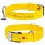 Нашийник для собак Waudog Glamour шкіряний з QR паспортом, подвійний зі страз, M, Ш 25 мм, Дов 38-49 см (4823089318264) - мініатюра 1