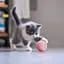Інтерактивна іграшка для котів і маленьких собак UFT Розумний м'яч CatToy 1 Pink - мініатюра 4