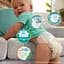 Набір підгузки Pampers Active Baby Розмір 5 (11-16 кг) 64 шт. - мініатюра 4