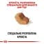 Сухий корм для дорослих собак породи Ши-Тцу Royal Canin Shih Tzu Adult, з м'ясом птиці, 1,5 кг (2200015) - мініатюра 4