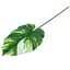 Штучне листя Engard Monstera Alba 71 см (TW-53) - мініатюра 3