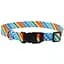Нашийник для собак Coastal Pet Attire Style (06421_RES14) - мініатюра 1