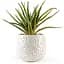 Горщик зі штучною рослиною МВМ My Home, 22 см, бежевий (DH-FLOWERS-13 GREEN/BEIGE) - мініатюра 1