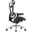 Крісло офісне Sihoo Doro C300L Mesh Black (DORO-C300L-A3-101) - мініатюра 4