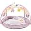 Развивающий коврик Chicco Enjoy Colours (09866.10) - миниатюра 1