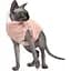 Светр Pet Fashion Cat XS персиковий - мініатюра 2