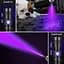 DARKBEAM UV 395nm Ліхтарик USB Перезаряджуваний, Wood's Lamp Black Light, Ручний ультрафіолетовий світлодіод Портативний - мініатюра 2