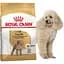 Сухий корм для собак породи пудель Royal Canin 500 г - мініатюра 2