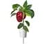 Змінний картридж Click & Grow Smart Garden Червоний солодкий перець, 3 капсули (9278) - мініатюра 1