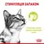 Вологий корм для дорослих котів Royal Canin Sensory Smell Gravy, шматочки в соусі, 85 г - мініатюра 3