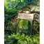 Парфумована вода Man Wood Essence 100 ml - мініатюра 3