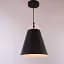 Подвесной светильник Friendlylight Fafel M Black FL3198 - миниатюра 1
