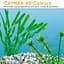 Акваріум Ferplast CAYMAN 40 COLOURS - 21 L 41.5 x 21.5 x h 34 cm - мініатюра 4