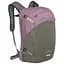 Рюкзак Osprey Nebula 32 Pink/Grey (1054-009.3643) - мініатюра 1