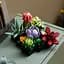Конструктор LEGO Botanicals Сукуленти 771 деталь (10309) - мініатюра 7