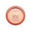 Компактна пудра Bourjois Air Mat, тон 01, 10 г (8000017811543) - миниатюра 1