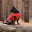 Жилет для собак Pet Fashion E.Vest XS красный - миниатюра 5