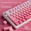Набір кейкапів PBT Pink Gradient (130+) / рожевий OEM-комплект для ANSI / ISO клавіатур - мініатюра 4