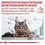 Вологий корм для котів Royal Canin Sensitivity Control Chicken with rice 85 г (40350011) - мініатюра 5