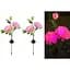 Світильники Garden Peony pink Light на сонячній батареї садові 2 шт - мініатюра 1