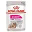 Вологий корм Royal Canin Exigent для дорослих собак, вибагливих до харчування, з куркою 85 г (1185001) - мініатюра 1