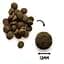 Сухой корм для взрослых собак Natura Wild Ontario Wildland с ягненком и французским поросенком 2 кг - миниатюра 2