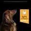 Сухой корм для взрослых собак мелких пород Purina Pro Plan Adult Small & Mini, с курицей, 7 кг (12376022) - миниатюра 6