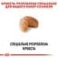 Сухий корм для дорослих собак породи Кокер спаніель Royal Canin Cocker Adult, 3 кг (3969030) - мініатюра 4