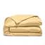Комплект постільної білизни Cosas Melon Підлітковий сатин золотистий (10Satin_Melon_El90-Melon_155) - мініатюра 4
