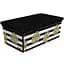 Коробка Qutu Trend Box Pineapple Life 5 л 33.5x19x11.5 см (TREND BOX с/к PINEAPPLE LIFE 5л.) - мініатюра 1