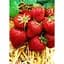 Саженец Agro-Market Клубника Эрос 5шт (средний срок созревания) (37306) - миниатюра 1