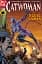 Catwoman (1993 2nd Series) #87 - мініатюра 1
