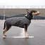 Жилет для собак Pet Fashion E.Vest XL серый - миниатюра 3