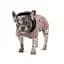 Попона Pet Fashion Max для собак SM - мініатюра 2